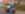 170125_RAW_Torrot_Muvi_Delivery_act_0019.jpg