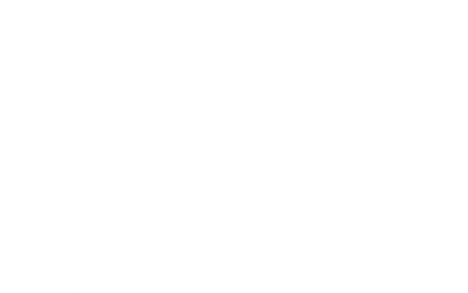 Motocross - Una auténtica moto de cross eléctrica, diseñada para  todoterreno - Torrot