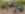 160616_RAW_Torrot_Citysurfer_0181.jpg